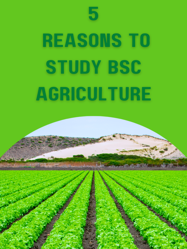 5 Reason To Study Bsc Agriculture