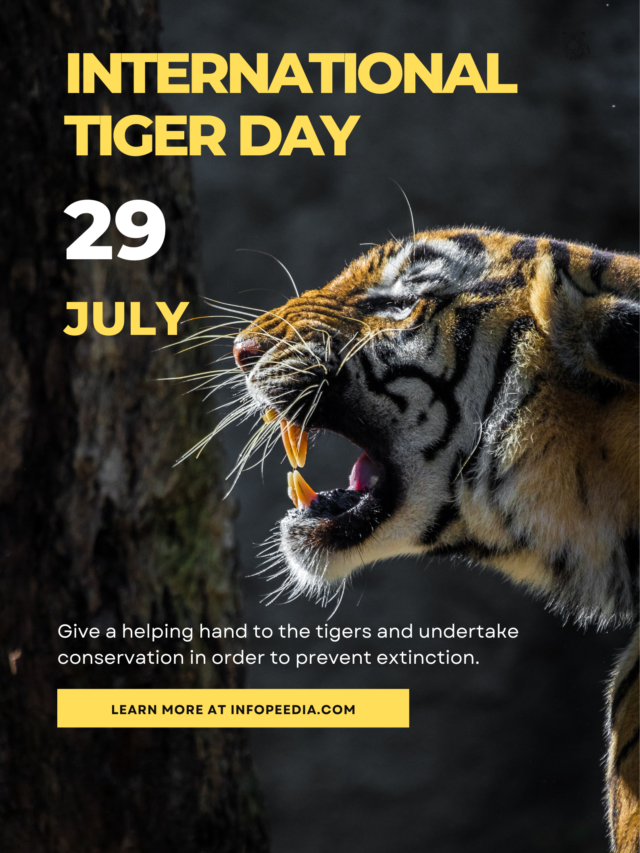 International tiger day